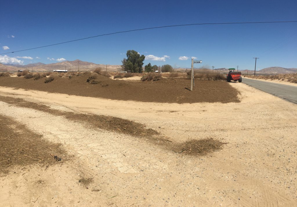 mulch spreading on the sand